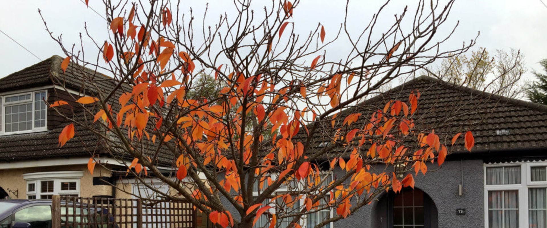 What is the slowest month for house sales?