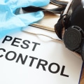 Don't Let Ants Ruin Your Plans To Sell House Fast In Calgary: Tips For Effective Control